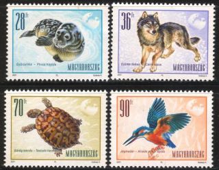 Hungary - 2001.  European Animals / Sea - Dog / Wolf / Turtle / Kingfisher photo