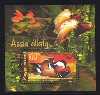 Hungary - 1999.  S/s - Animals Of Asia / Duck Mi:bl.  250. photo