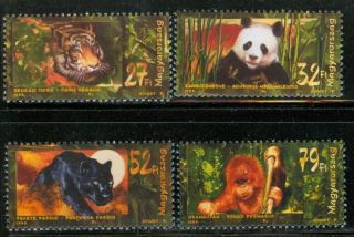 Hungary - 1999.  Wild Animals Of Asia/tiger Mi: 4544 - 4547 photo