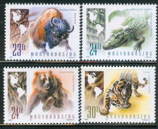 Hungary - 1998.  Wild Animals Of The Americas (buffalo,  Grizzly) Mi 4497 - 4500 photo