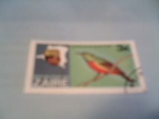 1979 Zaire River Expedition Regal Sunbird Postage Stamp Sg 953 Nh photo