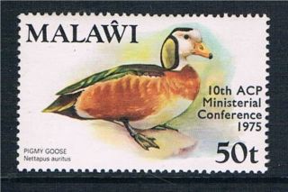Malawi 1975 Birds Ministerial Conf.  Sg 514 photo