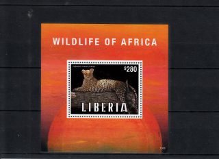 Liberia 2013 Wildlife Of Africa 1v S/s Leopard Animals Pantera Pardus Pardus photo