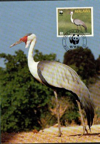 (70494) Maxicard - Malawi - Wattled Crane - 1987 photo