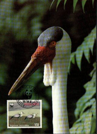 (70495) Maxicard - Malawi - Wattled Crane - 1987 photo