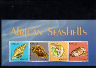 Ghana 2013 African Seashells 4v M/s Shells Marine Gymnobela Euspira Conus photo