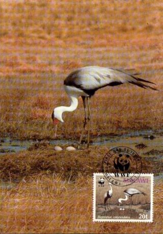 (70496) Maxicard - Malawi - Wattled Crane - 1987 photo