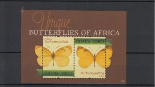 Ghana 2012 Unique Butterflies Of Africa 2v Sht Female Male Durbania Pallida photo
