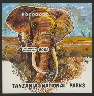 Tanzania 1192 Elephant,  Lake Manyara National Park photo