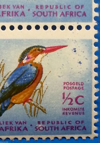 South Africa 1961 – 1½c Kingfisher Vertical Pair With “mosquitos” Variety - photo