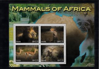 Ghana 2013 Mammals Of Africa 4v M/s Lion Cheetah Impala Elephant Animals photo