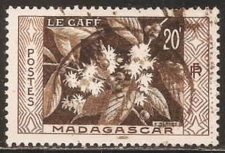 1956 Madagascar,  Malagasy: Scott 296 - Plants (20f - Coffea Arabica) - photo