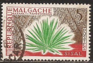1960 Madagascar,  Malagasy: Scott 311 - Plant (5 Fr - Agave Sisalana) - photo