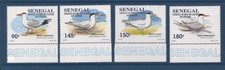 Senegal 1183 - 1186 photo