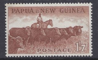 1958 - 1960 Papua Guinea 1/7d Cattle Muh/mnh Our Ref B3 photo