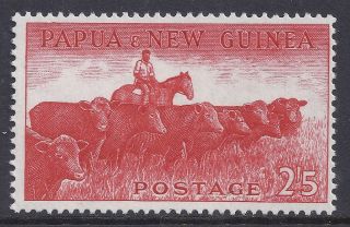 1958 - 1960 Papua Guinea 2/5d Cattle Fine Muh/mnh photo