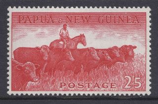 1958 - 1960 Papua Guinea 2/5d Cattle With Adhesions Muh/mnh photo