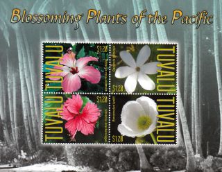 Tuvalu 2013 Blossoming Plants Of Pacific Ii 4v M/s Butterflies Flowers photo