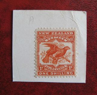 Zealand 1898 1 Shilling Kaka,  On Piece,  Scarce photo