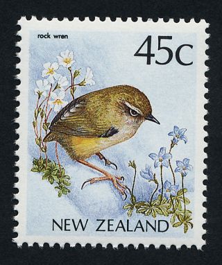 Zealand 924 Bird,  Rock Wren photo