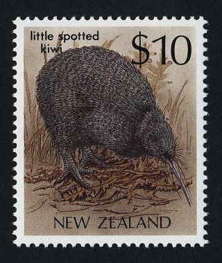 Zealand 930 Little Spotted Kiwi photo