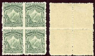 Zealand 1900 ½d Green Perf 11 Block Of Four Lower Pair.  Sg 273b. photo