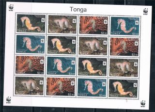 Tonga 2012 Seahorses 4v Sheet photo