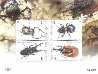 Thailand Stamp,  2001 Ss227 Insect 2nd Series S/s,  Beetle,  Bird photo