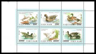 Vietnam Birds Ducks Sheetlet photo