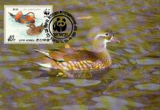 (70528) Maxicard - Korea - Mandarin Duck - 1986 photo
