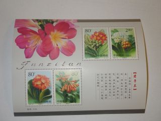China 2000 - 24 Clivia Souvenir Sheet - Flower photo