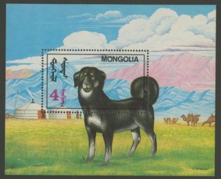 Mongolia 2052 Dog photo