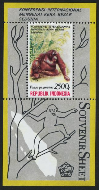 Indonesia 1481a Orangutan photo
