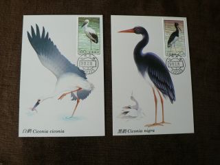 2 X 1992 China Maximum Cards: Storks,  Birds photo