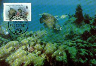 (70500) Maxicard - Antigua Barbados - French Angelfish - 1987 photo