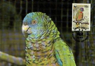 (70543) Maxicard - St Lucia - Parrot - 1987 photo