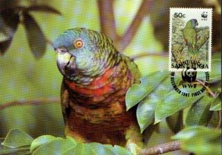 (70544) Maxicard - St Lucia - Parrot - 1987 photo