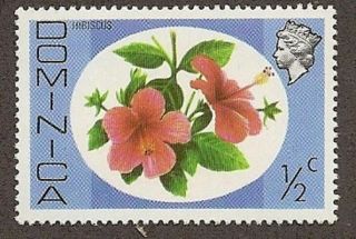 Dominica Scott 454,  Hibiscus, ,  Fg,  Nh,  1975 photo