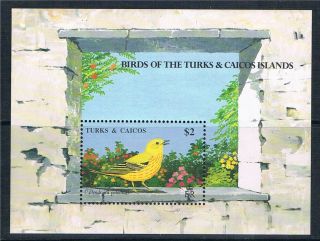 Turks & Caicos Is 1990 Birds Ms Sg 1018a photo