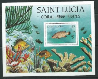 St.  Lucia Sgms650 1983 Coral Reef Fish photo