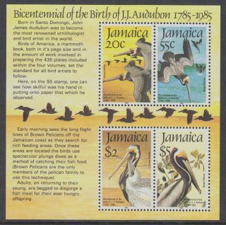 Jamaica - 1985 Audubon Ms Um / photo
