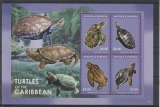 Antigua & Barbuda 2012 Turtles Of The Carribean 4v Sheetlet Chelonia Mydas photo