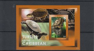 Antigua & Barbuda 2012 Turtles Of The Carribean 1v Sheet Marine Chelus photo