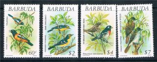 Barbuda 1991 Wild Birds Sg 1248 - 51 photo