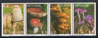 Guyana 1988 Mushrooms 4v Strip 1864 photo