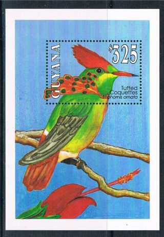 Guyana 1993 Birds Of Guyana Ms Sg 3497 photo