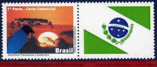 11 - 45 - 4 Brazil 2011 - Dawn Parana And Blue Jackdaw,  Birds,  Flag,  Personalized photo
