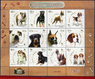 2567 Mexico 2007 - Breeds Of Dogs,  Animals & Fauna,  Souvenir Sheet photo