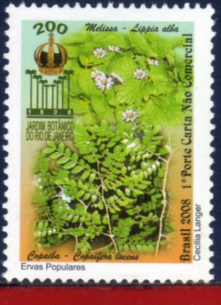 8 - V19 Brazil 2008 - Botanical Garden Of Rj,  Medicinal Popular Herbs,  Plants, photo