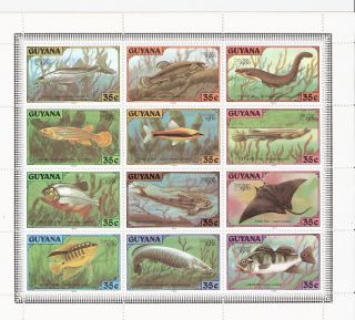 Guyana 1980 Fish For London Intl.  Stamp Expo.  Mini - Sheet (sc 317) photo